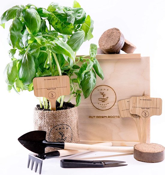 Kit de culture, 4 types, plantes, graines, jardin, kit de démarrage, graines