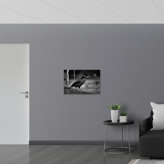 PVC Schuimplaat- Zijaanzicht van Kraai (Zwart- wit) - 75x50 cm Foto op PVC Schuimplaat