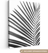 Canvas Schilderij Plant - Zwart wit - Natuur - Blad - 60x80 cm - Wanddecoratie