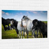 Muursticker - Kudde Wilde Paarden in Verschillende Kleuren onder Blauwe Lucht - 105x70 cm Foto op Muursticker