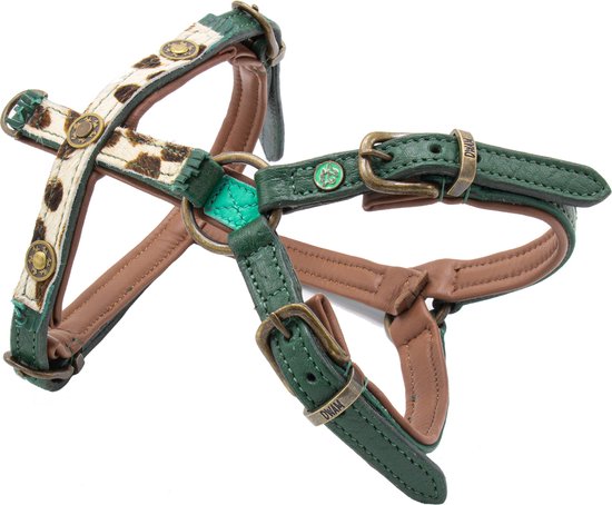 DWAM Ivy Hondentuigje XXS