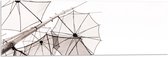 Acrylglas - Doorzichtige Paraplu Vormen tegen Witte Achtergrond - 90x30 cm Foto op Acrylglas (Wanddecoratie op Acrylaat)