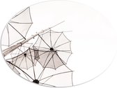 PVC Schuimplaat Ovaal - Doorzichtige Paraplu Vormen tegen Witte Achtergrond - 96x72 cm Foto op Ovaal (Met Ophangsysteem)