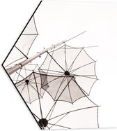 Dibond Hexagon - Doorzichtige Paraplu Vormen tegen Witte Achtergrond - 40x34.8 cm Foto op Hexagon (Met Ophangsysteem)