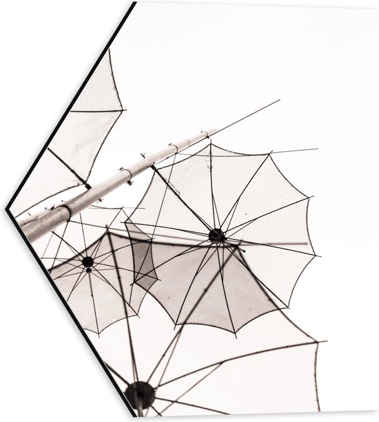 Dibond Hexagon - Doorzichtige Paraplu Vormen tegen Witte Achtergrond - 40x34.8 cm Foto op Hexagon (Met Ophangsysteem)