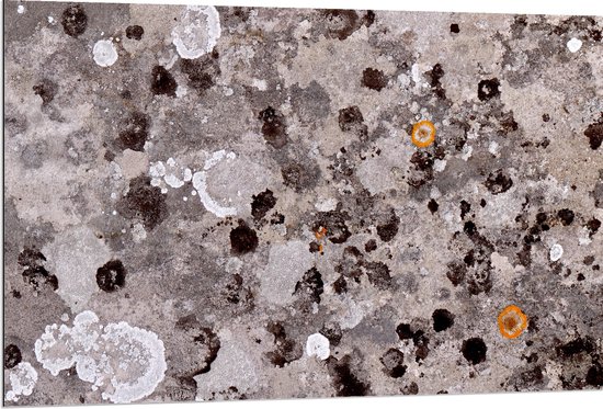 Dibond - Bevlekt Patroon van Bruin en Wit op Grijs - 120x80 cm Foto op Aluminium (Wanddecoratie van metaal)