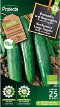 Protecta Groente zaden: Komkommer Lange Engelse Biologisch