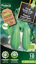 Protecta Groente zaden: Pompoen Loofah Spons Biologisch