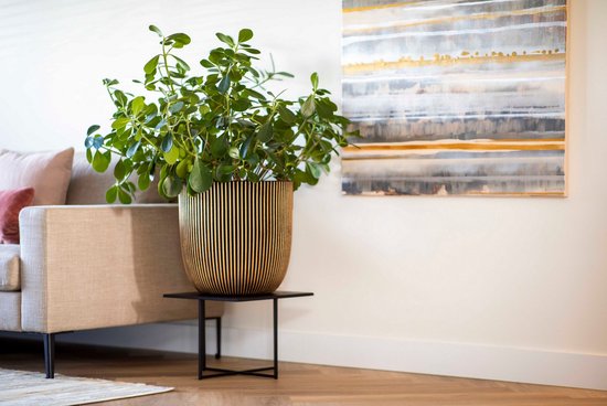 Capi Europe - Bloempot bol Groove NL - 35x34 - Goud - Opening Ø29 - Bloempot voor binnen en buiten - Levenslang garantie - Breukbestendig - 100% Recyclebaar - CO2 Neutraal geproduceerd - KGVGB932