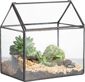Terrarium - Terrarium Mos - 15,5 x 11 x 16 cm - Klein - Geometrisch Terrarium - Huisvorm - Glas - Afsluitbaar - Broeikas voor Vetplanten/Mos/Varen -Klapdeksel (zonder planten)