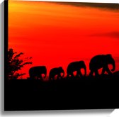 Canvas - Silhouet van Familie Olifanten Lopend over Afrikaans Landschap - 60x60 cm Foto op Canvas Schilderij (Wanddecoratie op Canvas)