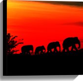Canvas - Silhouet van Familie Olifanten Lopend over Afrikaans Landschap - 40x40 cm Foto op Canvas Schilderij (Wanddecoratie op Canvas)