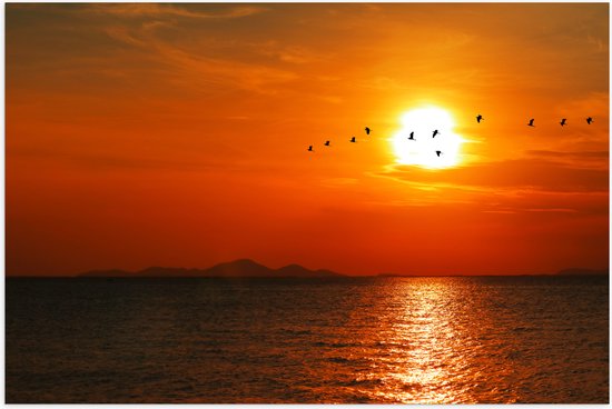 Poster Glanzend – Silhouet van Zwerm Vogels bij Zonsondergang boven de Zee - 60x40 cm Foto op Posterpapier met Glanzende Afwerking
