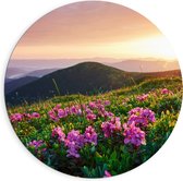 Dibond Muurcirkel - Roze Bloemen op de Bergen van Landschap tijdens Zonsopkomst - 90x90 cm Foto op Aluminium Muurcirkel (met ophangsysteem)