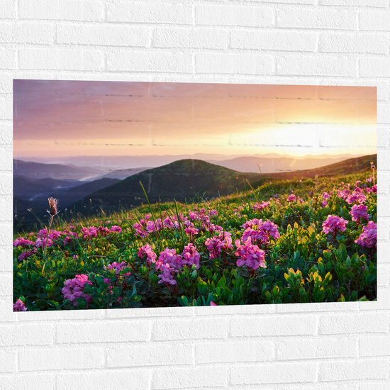 Muursticker - Roze Bloemen op de Bergen van Landschap tijdens Zonsopkomst - 105x70 cm Foto op Muursticker