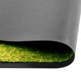 Maison Exclusive - Paillasson lavable 60x90 cm vert
