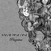 Iamdisease - Praznina (10" LP)
