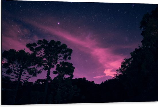 Dibond - Paars Gekleurde Lucht boven Silhouet van Bomen - 105x70 cm Foto op Aluminium (Wanddecoratie van metaal)