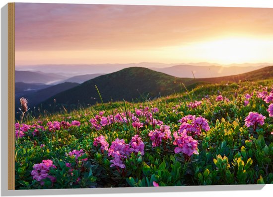 Hout - Roze Bloemen op de Bergen van Landschap tijdens Zonsopkomst - 75x50 cm - 9 mm dik - Foto op Hout (Met Ophangsysteem)