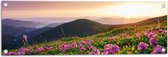 Tuinposter – Roze Bloemen op de Bergen van Landschap tijdens Zonsopkomst - 90x30 cm Foto op Tuinposter (wanddecoratie voor buiten en binnen)