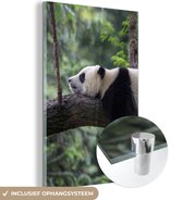 MuchoWow - Glasschilderij - Foto op glas - Wanddecoratie - Panda - Boom - Natuur - Muurdecoratie - 60x90 cm - Schilderij glas - Acrylglas