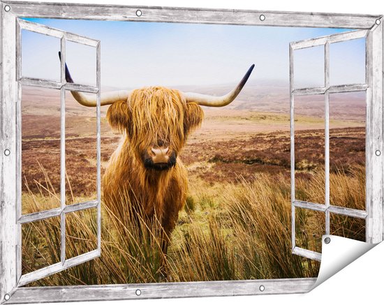 Panneau pour Vêtement et Couverture Vache Highland dans le champ!