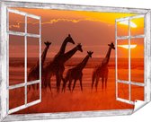 Gards Tuinposter Doorkijk Giraffe Kudde bij Zonsondergang - 180x120 cm - Tuindoek - Tuindecoratie - Wanddecoratie buiten - Tuinschilderij