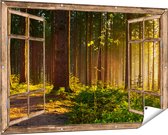 Gards Affiche jardin Forêt transparente avec soleil entre les Arbres - 150x100 cm - Toile jardin - Décoration de jardin - Décoration murale extérieur - Tableau jardin