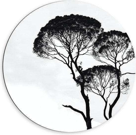 Dibond Muurcirkel - Zwarte Bomen bij de Witte Lucht - 60x60 cm Foto op Aluminium Muurcirkel (met ophangsysteem)
