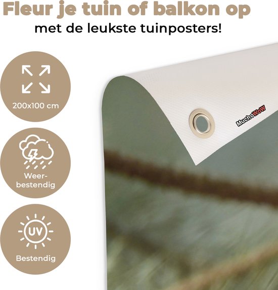 Affiche de clôture Vogel - Merle - Branches - Animaux - 200x100 cm - Toile de jardin