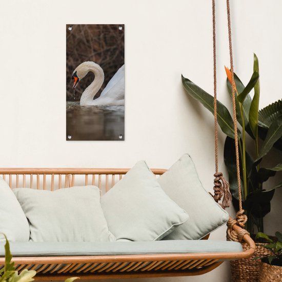 Affiche de jardin Cygne - Water - Animaux - Vogel - 30x60 cm - Toile de jardin - Poster extérieur