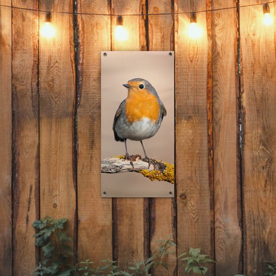 Tuinposter met een roodborstje op een bemoste tak, hangend aan een houten schutting met sfeerverlichting.