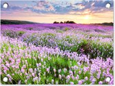 Tuinposter bloemen - Lavendel - Landschap - Zonsondergang - Natuur - Lucht - Tuin - Tuindecoratie - Tuinschilderij voor buiten - Schutting decoratie - 40x30 cm - Schuttingdoek - Tuindoek - Buitenposter