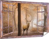 Gards Tuinposter Doorkijk Hert in het Bos - Herfst - 180x120 cm - Tuindoek - Tuindecoratie - Wanddecoratie buiten - Tuinschilderij