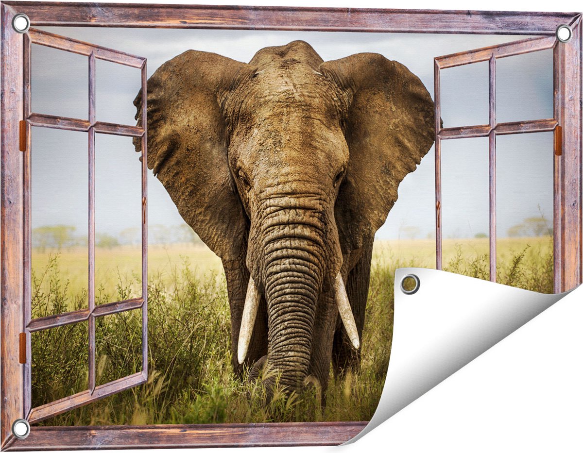 Gards Tuinposter Doorkijk Olifant in het Wild - Kleur - 60x40 cm - Tuindoek - Tuindecoratie - Wanddecoratie buiten - Tuinschilderij