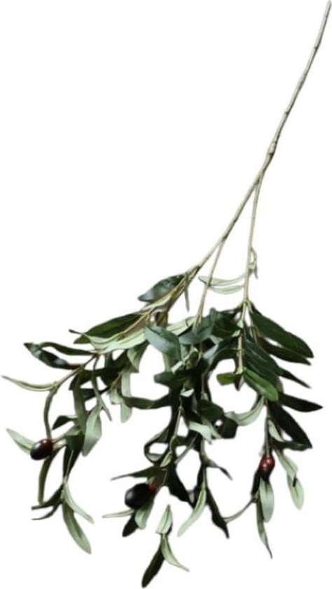 Olijftak - 75CM - kunsttakken - kunstplanten - olijftakken kunst - olijftakken nep - droogbloemen - zijden bloemen - kunstplanten voor binnen - zijden planten