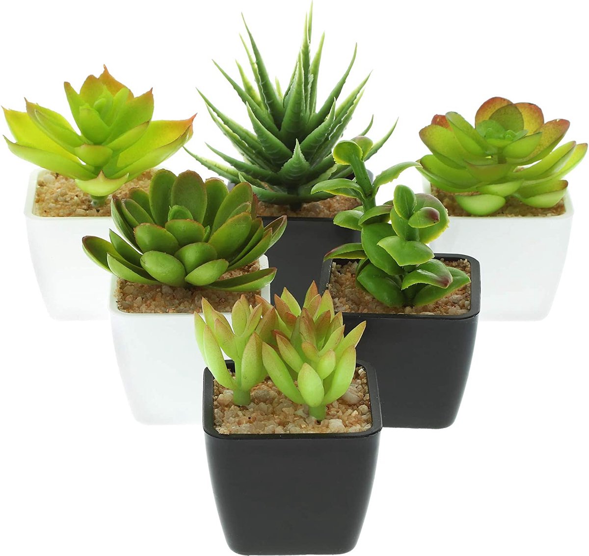 6x plantes artificielles [la sélection varie], faussement vraies plantes  décoratives... | bol.com