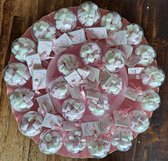 24 roze rammelaars op schaal voor babyshower of geboortefeest, rammelaar, kraamfeest, bedankje, uitdeelbedankje, kraamfeest, doop