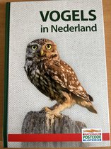 Vogels in Nederland inclusief Veldgids