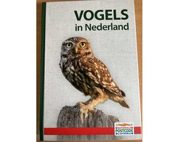 Vogels in Nederland