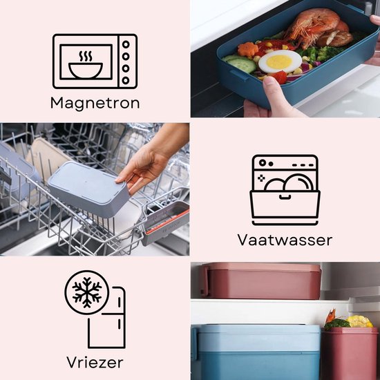 Icônes indiquant micro-ondes, lave-vaisselle et congélateur. Une boîte à bento bleue avec crevettes, œuf et légumes.