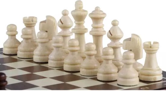 Afbeelding van het spel Magnetisch Schaakbord met Schaakstukken - Compact schaakset op Reis - Schaakspel
