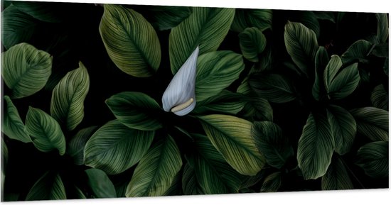 Acrylglas - Witte Bloemen Groeiend door Groene Planten - 200x100 cm Foto op Acrylglas (Wanddecoratie op Acrylaat)