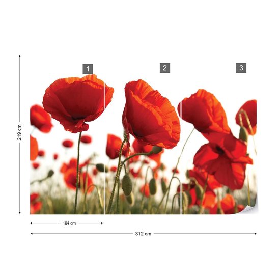 Papier peint photo Fleurs Champ de coquelicots Nature | XXL - 312 cm x 219 cm | Polaire 130g / m2