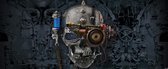Fotobehang Alchemy  Art Necronaut Skull | PANORAMIC - 250cm x 104cm | 130g/m2 Vlies