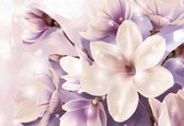 Papier peint photo Magnolia Violet | XXXL - 416 cm x 254 cm | Polaire 130g / m2