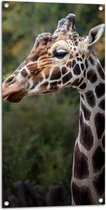 Tuinposter – Zijaanzicht van Kop en Nek van Giraffe - 50x100 cm Foto op Tuinposter (wanddecoratie voor buiten en binnen)