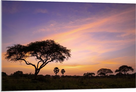 Acrylglas - Zonsopkomst achter Bomen tijdens Zonsopkomst in Murchison Falls, Uganda - 105x70 cm Foto op Acrylglas (Wanddecoratie op Acrylaat)