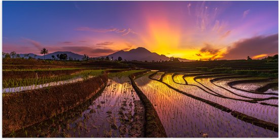 Poster (Mat) - Zonsopkomst achter Berg bij de Indonesische Rijstenvelden - 100x50 cm Foto op Posterpapier met een Matte look