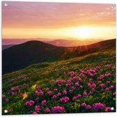 Tuinposter – Zonsondergang Verdwijnend achter Gebergte vol Paarse Bloemen - 80x80 cm Foto op Tuinposter (wanddecoratie voor buiten en binnen)